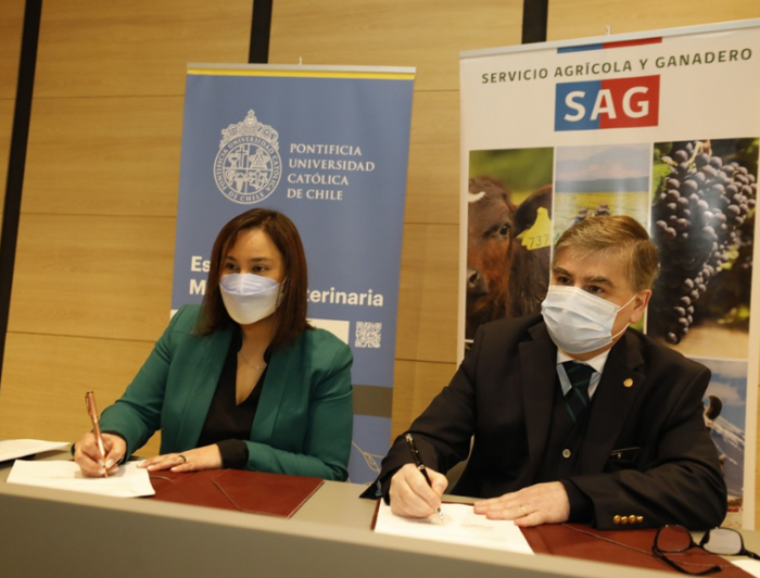 imagen correspondiente a la noticia: "Veterinaria y SAG acuerdan avanzar en investigaciones y proyectos en pro de la salud animal"