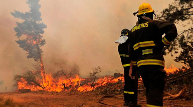 Bomberos frente a las llamas de incendio forestal