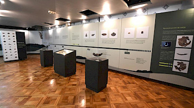 Exhibición de piezas dentro de vitrinas,en una sala con suelo de madera.