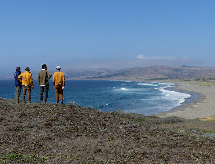 Faculty members from UC Chile are in the Nature Reserve System in California. They are watching the sea from the top of a hill.