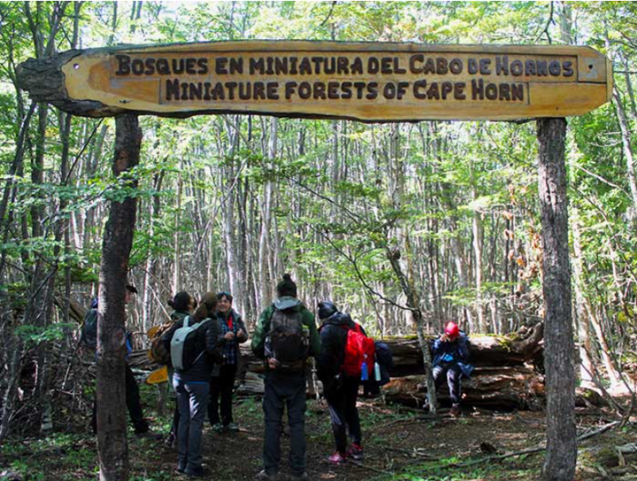 Photo: Omora Park. A group of people is in the middle of a green forest. Above them is a sign that says "Miniature forests of Cape Horn" in English and Spanish.