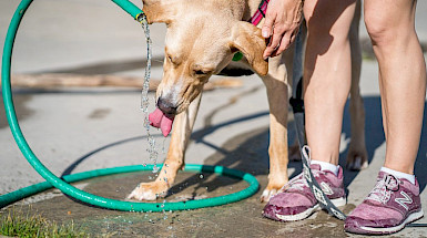 hombre con barba tomando agua