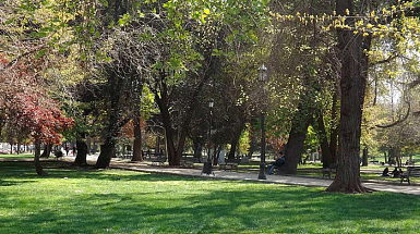 Paisaje de árboles en un parque