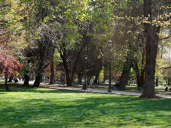 Paisaje de árboles en un parque