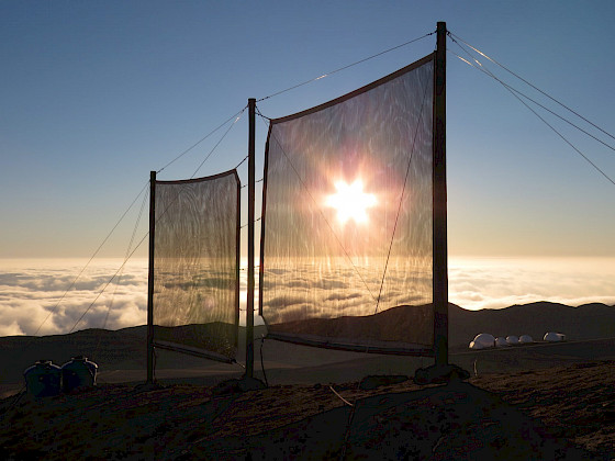 Se visualiza un atrapanieblas con el sol detrás.