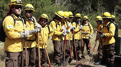 Equipo de trabajo contra incendios forestales en exterior