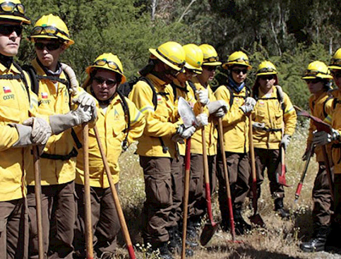 Equipo de trabajo contra incendios forestales en exterior