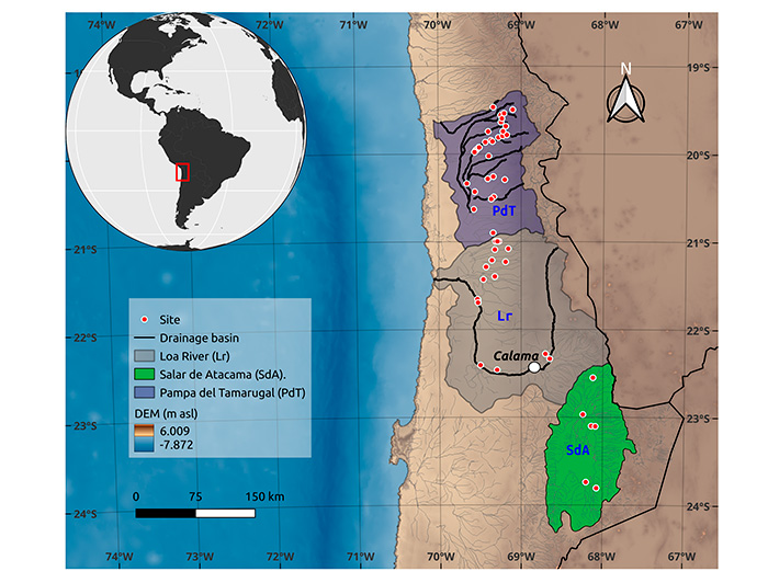 Mapa del norte de Chile que muestra los sitios de la investigación con puntos rojos.