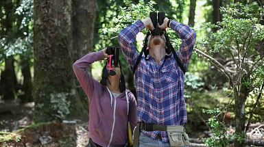 Turistas con binoculares en bosque