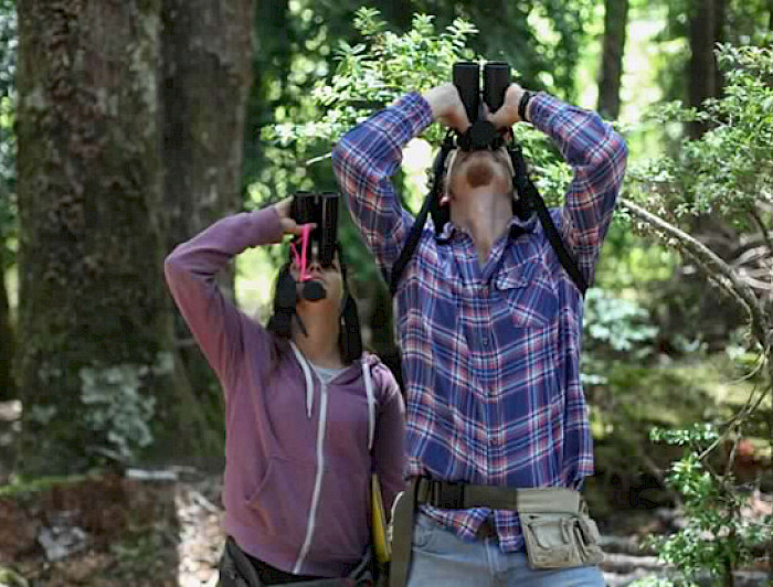 Turistas con binoculares en bosque
