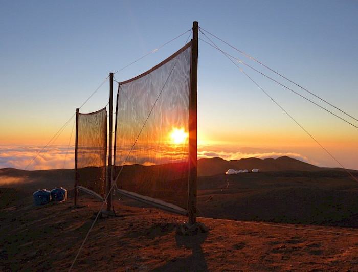 Atrapanieblas en el atardecer del desierto.