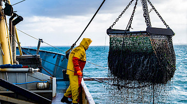 Un hombre con un traje amarillo de lluvia parado en un barco observa elevarse una red desde el mar.