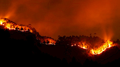 Incendios.- Foto Pexels