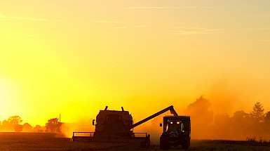 Tractor cosechando un campo al atardecer