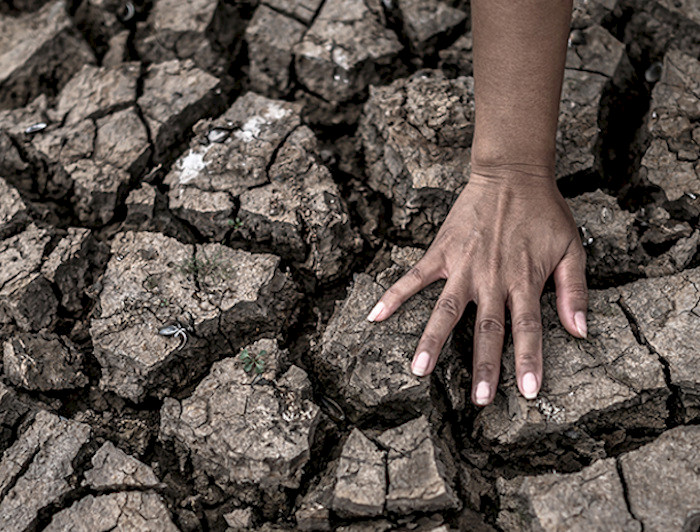 imagen correspondiente a la noticia: "Climate change adaptation and resilience: big challenges for local communities"