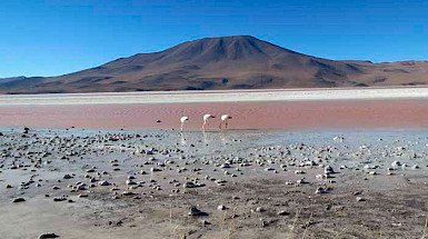 Salar de Atacama con unos flamencos en el fondo