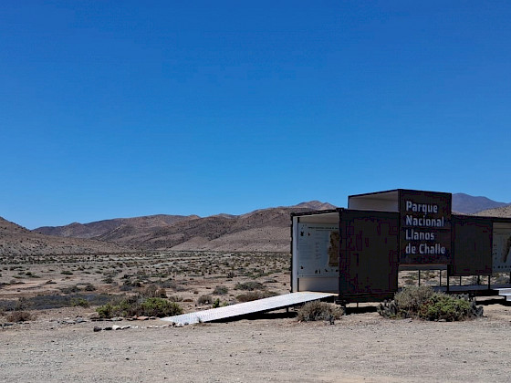 Parque Nacional Llanos de Challe
