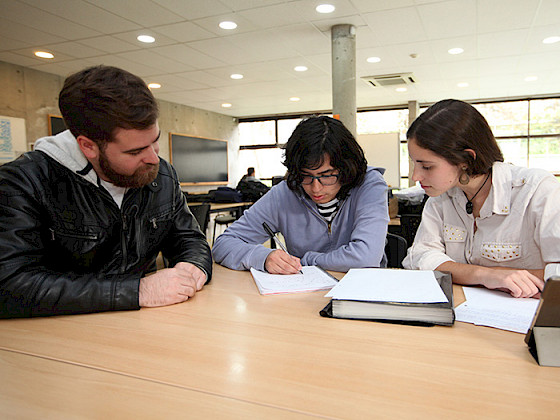 Estudiantes estudiando en la biblioteca