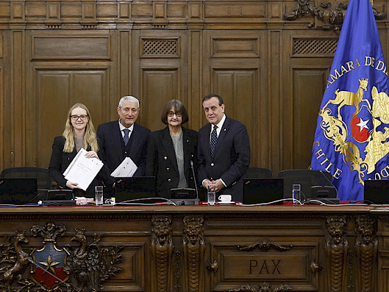 Entrega del informe al pleno del Consejo Constitucional.- Foto Felipe Poga