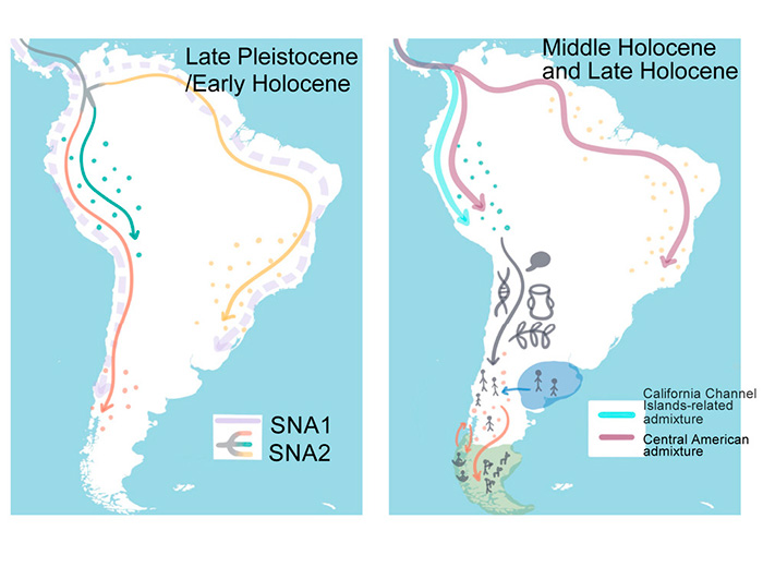 Maps of the Main Migratory Routes in South America, from the Pleistocene to the Holocene.