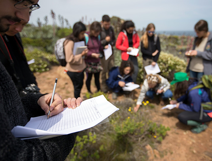 Estudiante hace unas anotaciones mientras sus compañeros, al fondo, observan unas flores sosteniendo sus cuadernos, en un entorno natural.