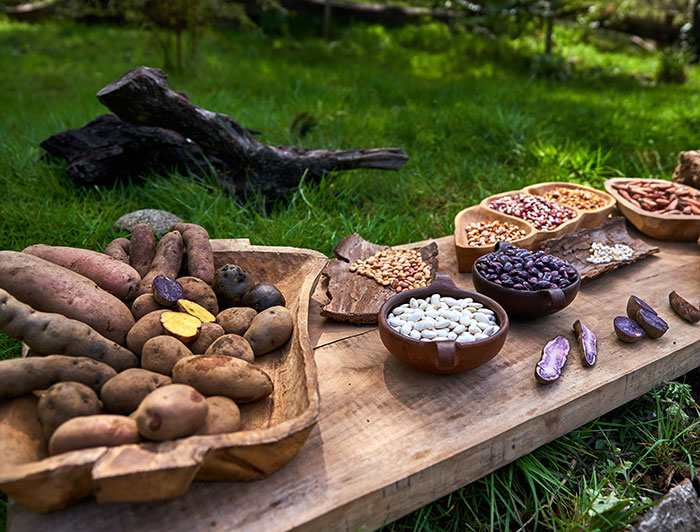 Papas, semillas y otros productos locales de la Araucanía desplegados en fuentes de madera sobre una tabla