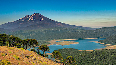 Imagen del Parque Nacional Conguillio donde se ven araucarias en un primer plano, y un lago y un volcán al fondo