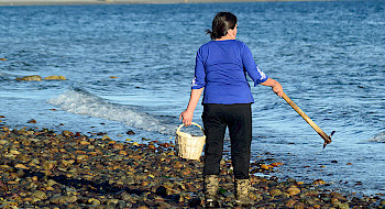 Mujer recolectora en la orilla del mar carga una herramienta y un canasto.