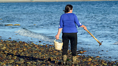 Mujer recolectora en la orilla del mar carga una herramienta y un canasto.