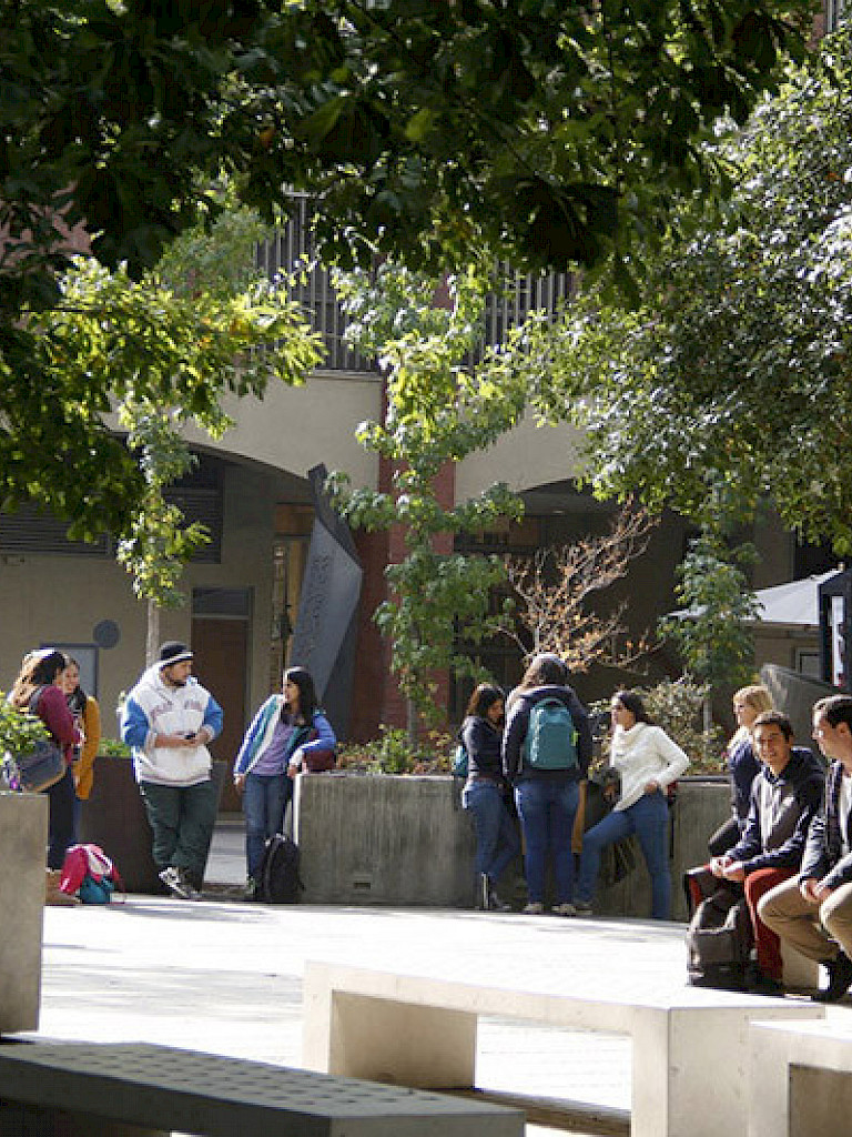 University students at UC Chile San Joaquin campus