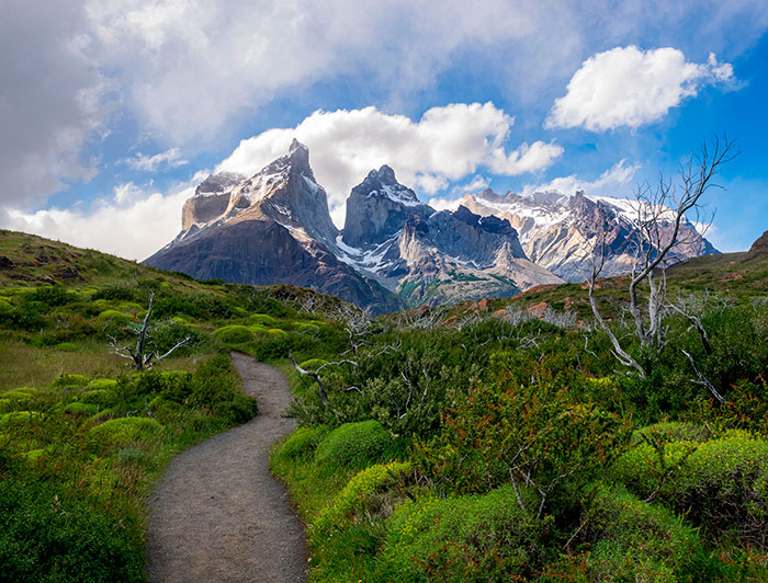 Torres del Paine National Park with fauna in the foreground