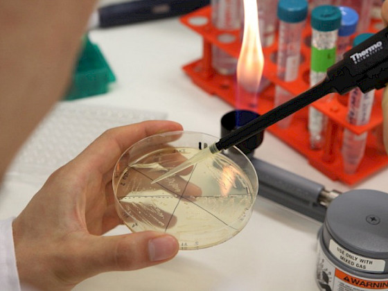 Análisis de muestra en laboratorio