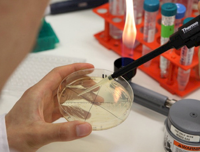 Análisis de muestra en laboratorio