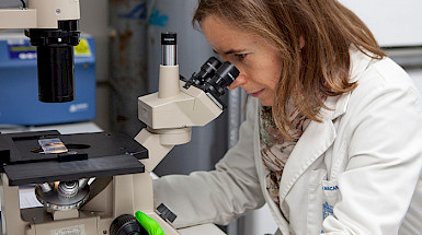 Investigadora observa por microscopio en un laboratorio.