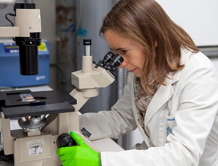 Investigadora observa por microscopio en un laboratorio.