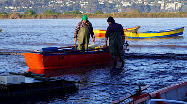 Trabajos en el estuario y cuenca del río.- Fotos SECOS