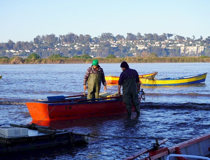 Trabajos en el estuario y cuenca del río.- Fotos SECOS