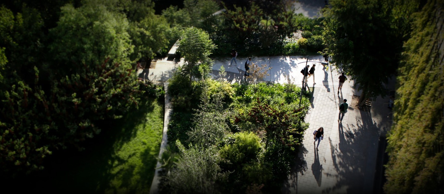 Students walking on a campus.