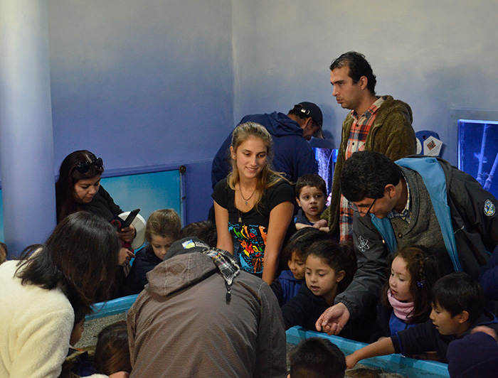 Children and teachers watching an aquarium as part of the activities of the Chile es Mar program.