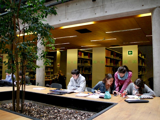 Estudiantes fuera de la Biblioteca UC