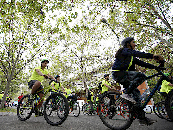 UC Chile students riding bicycles on a street surrounded by trees.