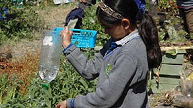 Escolares de Coquimbo manipulando cosechadores de agua