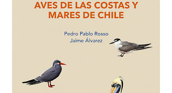 Portada del libro Aves de la Costa y Mares de Chile escrito por Jaime Álvarez y Pedro Pablo Rosso.