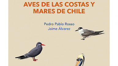 Portada del libro Aves de la Costa y Mares de Chile escrito por Jaime Álvarez y Pedro Pablo Rosso.