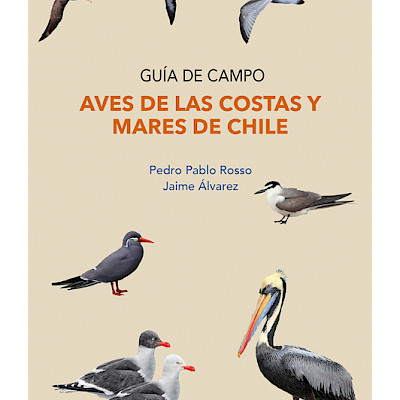 Portada del libro Aves de la Costa y Mares de Chile escrito por Jaime Álvarez y Pedro Pablo Rosso.