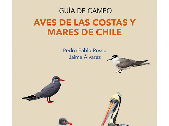 Portada del libro Aves de la Costa y Mares de Chile escrito por Jaime Álvarez y Pedro Pablo Rosso.