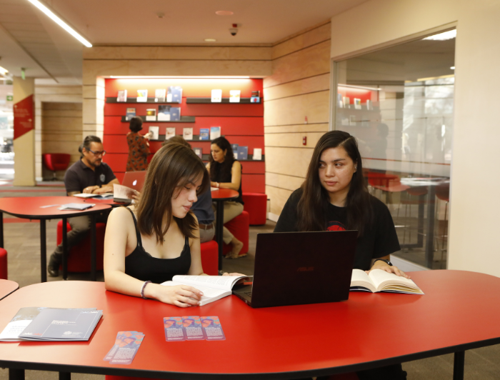 imagen correspondiente a la noticia: "Bibliotecas UC habilita espacios dedicados a la bibliografía con enfoque de género"