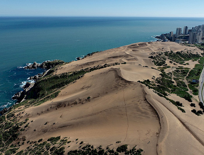 imagen correspondiente a la noticia: "Estudio del Centro UC Observatorio de la Costa alerta aceleración de erosión en playas chilenas"