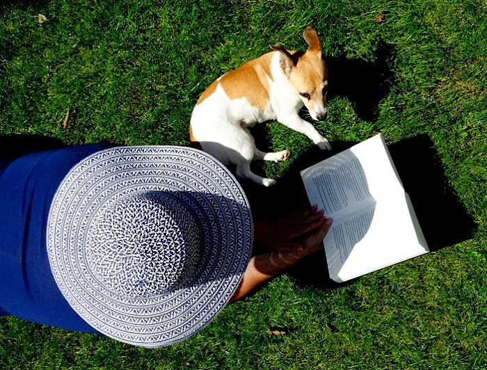 imagen correspondiente a la noticia: "Te recomendamos libros para olvidar el calor de este verano"