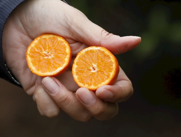 Una mano sostiene dos mitades de una mandarina.